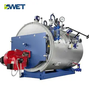 Horizontal 2000 kg Gas fired Hot Water Boilers for Swimming Pool Schools and Hospitals