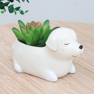 Jouet pour chien ROOGO Novelty Sleepy Pet, <span class=keywords><strong>caniche</strong></span>, <span class=keywords><strong>labrador</strong></span>, bouledogue, pots succulents, mini pot de fleurs, décoration d'intérieur - Product Image 5