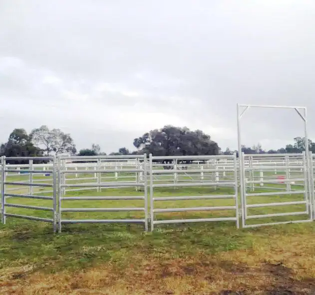Horse Yards Inc Gate, round Yard, Cattle Fences