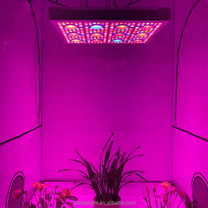 2017 meilleur élèvent des lumières la <span class=keywords><strong>culture</strong></span> en intérieur lampes plein spectre <span class=keywords><strong>led</strong></span> croissance lumières pour intérieur herbes - Product Image 3