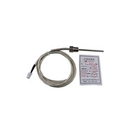 WZPT-291 industrieller Temperatur sensor Pt100 RTD mit Ausgleichs kabel aus Glas-Wärme widerstand