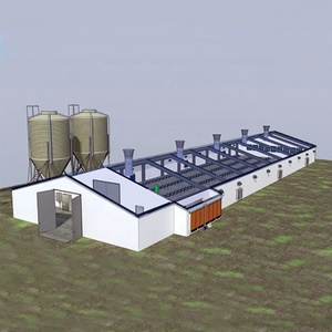 Thương Mại Đúc Sẵn Kết Cấu Thép Gà Thịt Nhà Gà Nhà Gà Nhà Xây Dựng - Product Image 4