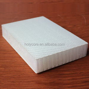 plastic fiberglass honeycomb sandwich panel Holypan monopan
