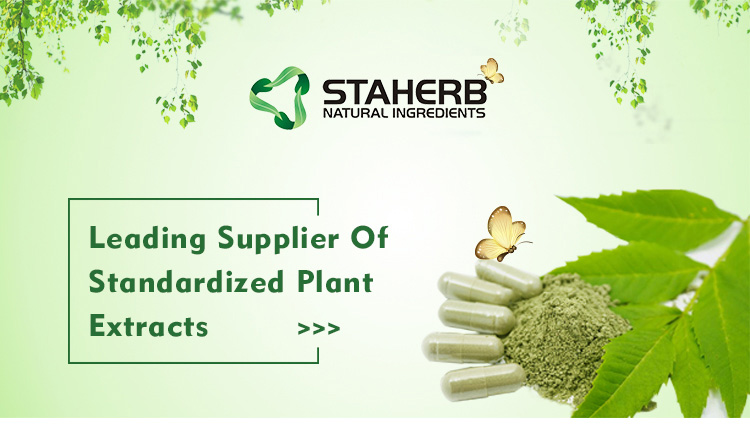 Staherb Factory supply Kava extract Kavalactones 4:1-20:1,kava root powder Kavakavaresin Cas number 9000-38-8