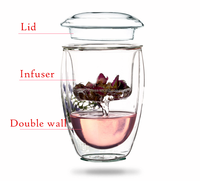 Double mur durable classique moderne avec la tasse de thé en verre de preuve thermique d'infuseur