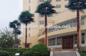 Grands Arbres En Plastique Plantes Palmier Artificielle Palmier Branches Et Feuilles - Product Image 5