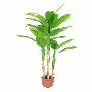 Banane artificiel de haute qualité, magnifique arbre décoratif d'intérieur, vert, à vente, nouveauté 5480