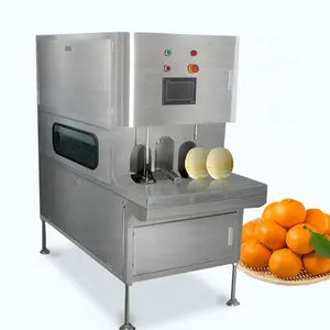 New design hot sale commercial lemon zester peeler/pineapple slicing machinery