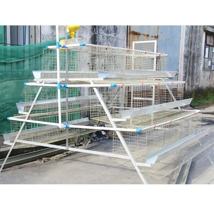 Favorable Price A Type Chicken Cage Wire Mesh Broiler Bird Breeding Cages for Chicken