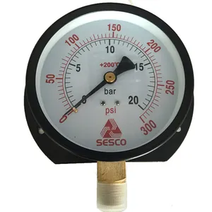 4 inch Normale Manometer met flens, meten de druk van vloeistof, stoom en gas