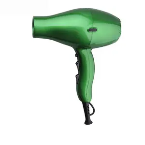 Cheap Price Cool Shot Function 2 Speed 3 Heating Ionic Hair Dryer