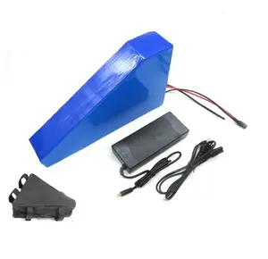 great power 18650 Lithium Ion 20Ah 48v 1500w electric bike battery For brush less motor