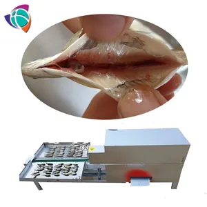 sardine guts cleaning machine/small fish offal removal machine/tools and equipment in fish processing