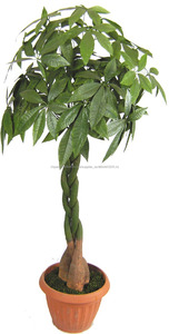 Árboles <span class=keywords><strong>bonsai</strong></span> <span class=keywords><strong>de</strong></span> interior <span class=keywords><strong>bonsai</strong></span> árbol <span class=keywords><strong>Schefflera</strong></span> artificial chino - Product Image 6
