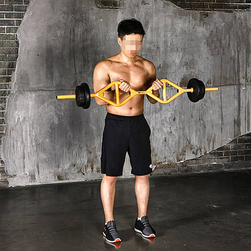 Hammer Strength Small Ez Curl Bar Squat Rack EXBTOKA Barbell Curl