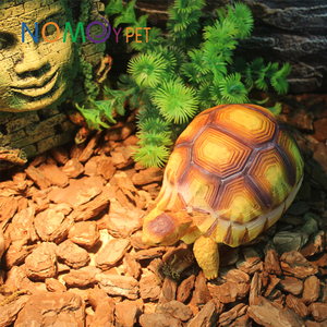 Modèle de <span class=keywords><strong>tortue</strong></span> terrestre <span class=keywords><strong>en</strong></span> résine de haute qualité, super réaliste, modèle de <span class=keywords><strong>tortue</strong></span> Nomoypet - Product Image 2