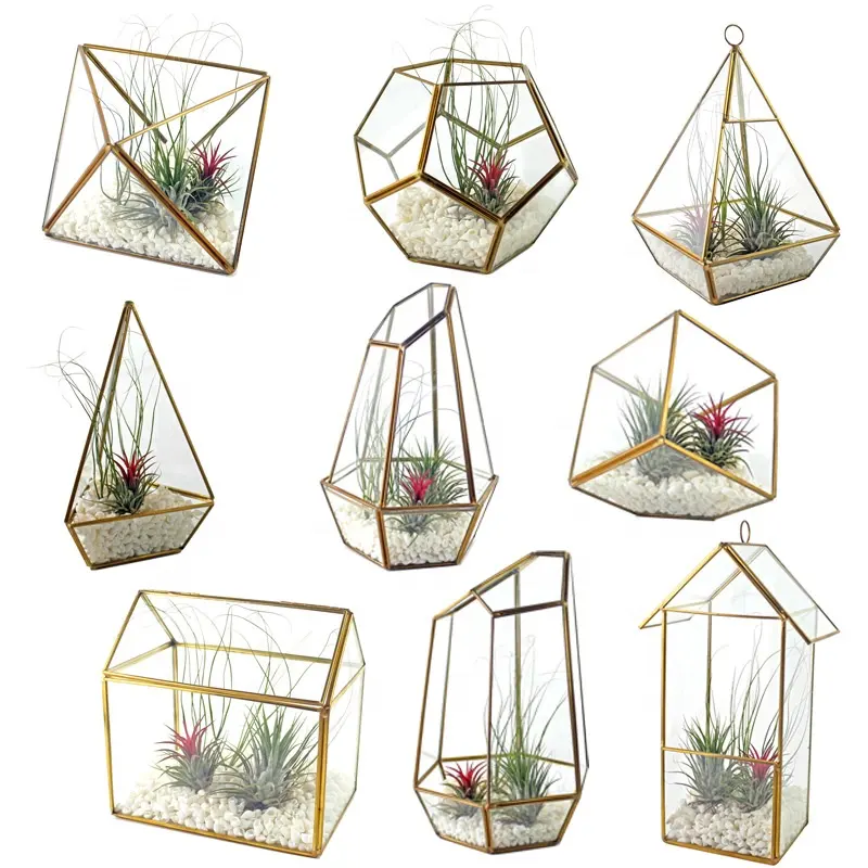 Factory Price Glass with Copper Frame Gold Color Glass Terrarium Lighted Kit Geometric Glass Terrarium Wholesale
