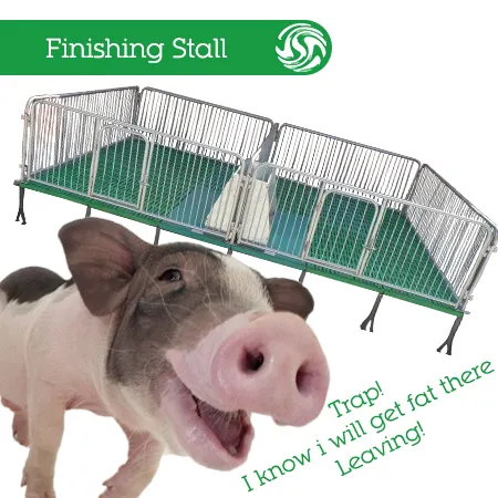 Hot Dipped Galvanized Pig Finishing Stall For Pig Farm Equipment