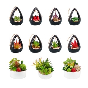 Mini <span class=keywords><strong>piante</strong></span> verdi di plastica tropicale all'ingrosso <span class=keywords><strong>piante</strong></span> succulente artificiali <span class=keywords><strong>in</strong></span> vaso <span class=keywords><strong>in</strong></span> vasi di <span class=keywords><strong>ceramica</strong></span> bianca - Product Image 3