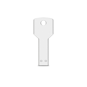 OEM <span class=keywords><strong>pendrive</strong></span> 1 gb 2 gb 4 gb flash drive 8 gb usb flash usb de forma de llave usb stick con <span class=keywords><strong>precio</strong></span> de fábrica - Product Image 4