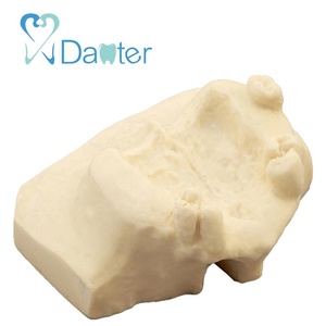most popular sinus lift <strong>practice</strong> model /resin removable model for dental <strong>lab</strong> - Product Image 3