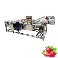 Automatische transportband industriële toepassing 2000kg/u fruit- en groentewasmachine