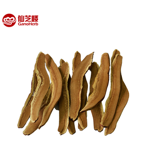 En gros Organique Séchée Rouge Ganoderma Lucidum Reishi Champignons Tranches - Product Image 5