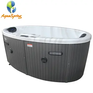 Supplier outdoor pool oval smart hot tub spa