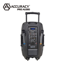 Bocina Activa Amplificada Recargable de 15'' 120W Accuracy Pro Audio PML15AVH con Batería Tipo Trolley
