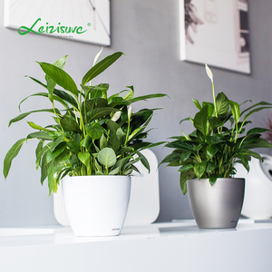 Maceta de plástico duradero para plantas, sistema hidropónico decorativo redondo de gran tamaño, para jardín y hogar - Product Image 5