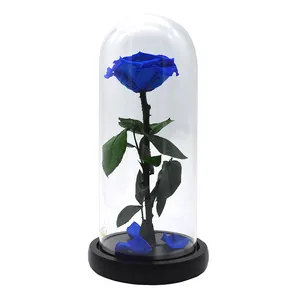 Le petit prince Preserved fresh flower Eternal flowers true roses dried flowers for valentine's day gift