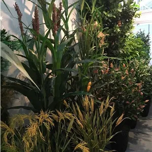 Hot selling artificial crops / Natural look decorative artificial corn plants / plastic artificial wheat grass for sale