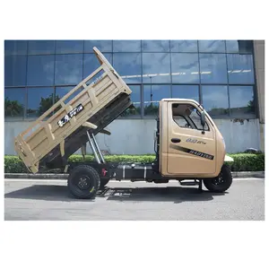 จีนทำระบบยกไฮดรอลิก Dumper Cargo มอเตอร์รถสามล้อพร้อม Driver Cabin