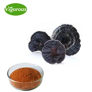 Poudre de Spore d'extrait de Ganoderma Lucidum biologique pur de haute qualité pour café instantané