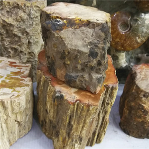 En gros bois naturel fossile dalle bois brut fossiles bois pétrifié pièce tranche spécimen pour la décoration de la maison - Product Image 4