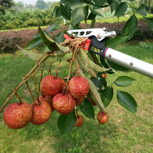 Extentool 3 m lange bereiken handleiding fruit picker met telescopische boom snoeischaar en zag 10ft fruit plukken machine