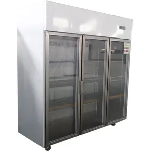 Used hotel restaurant freezer reach-in glass door fridge upright showcase 3 doors freezer