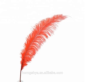 65CM 70CM Plumas natürliche Blumen DIY Handwerk handgemacht lange zum Verkauf Federn <span class=keywords><strong>s</strong></span> für Hochzeit Home Decor Stands Party - Product Image 2