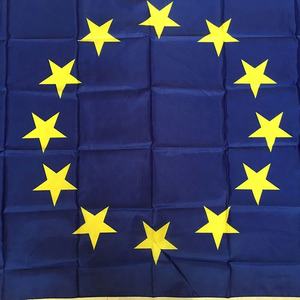 Custom Logo 100% Polyester <span class=keywords><strong>3</strong></span> * 5ft Europese Unie Vlag - Product Image 5