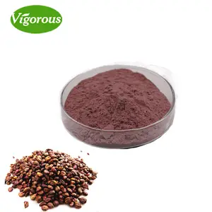 High Quality 95%OPC Grape Seed Extract Powder