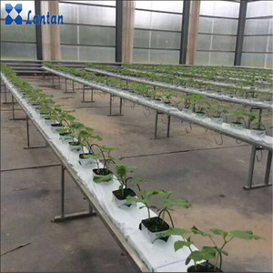 Thủy Canh Thân thiện với môi vuông tự tưới nước đá len khối <span class=keywords><strong>planter</strong></span> cho nhà vườn trang trại & nhà kính sử dụng - Product Image 6