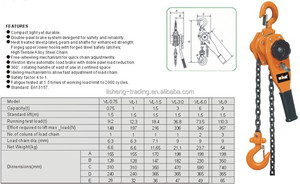 Ròng Rọc Palăng Lift Nhãn Hiệu Thép Không Gỉ Quan Trọng 1 Tấn 3 Tấn 5 Tấn Giá Lever Chain Block 2 Tấn Giá - Product Image 4