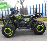 Tao Motor Brave Pro 200CC VTT Quad Transmission par Chaîne Quad Adultes Automatique Démarrage Électrique VTT 2 Roues Motrices