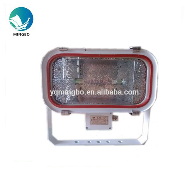 TG11 Stainless Steel 200w 300w 500w Outdoor Waterproof R7s Tungsten Halogen Lamp Marine Flood Light