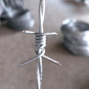 Grosir kawat berduri Spiral Double Twist baja tahan karat untuk dijual Alambre De Pua - Product Image 2