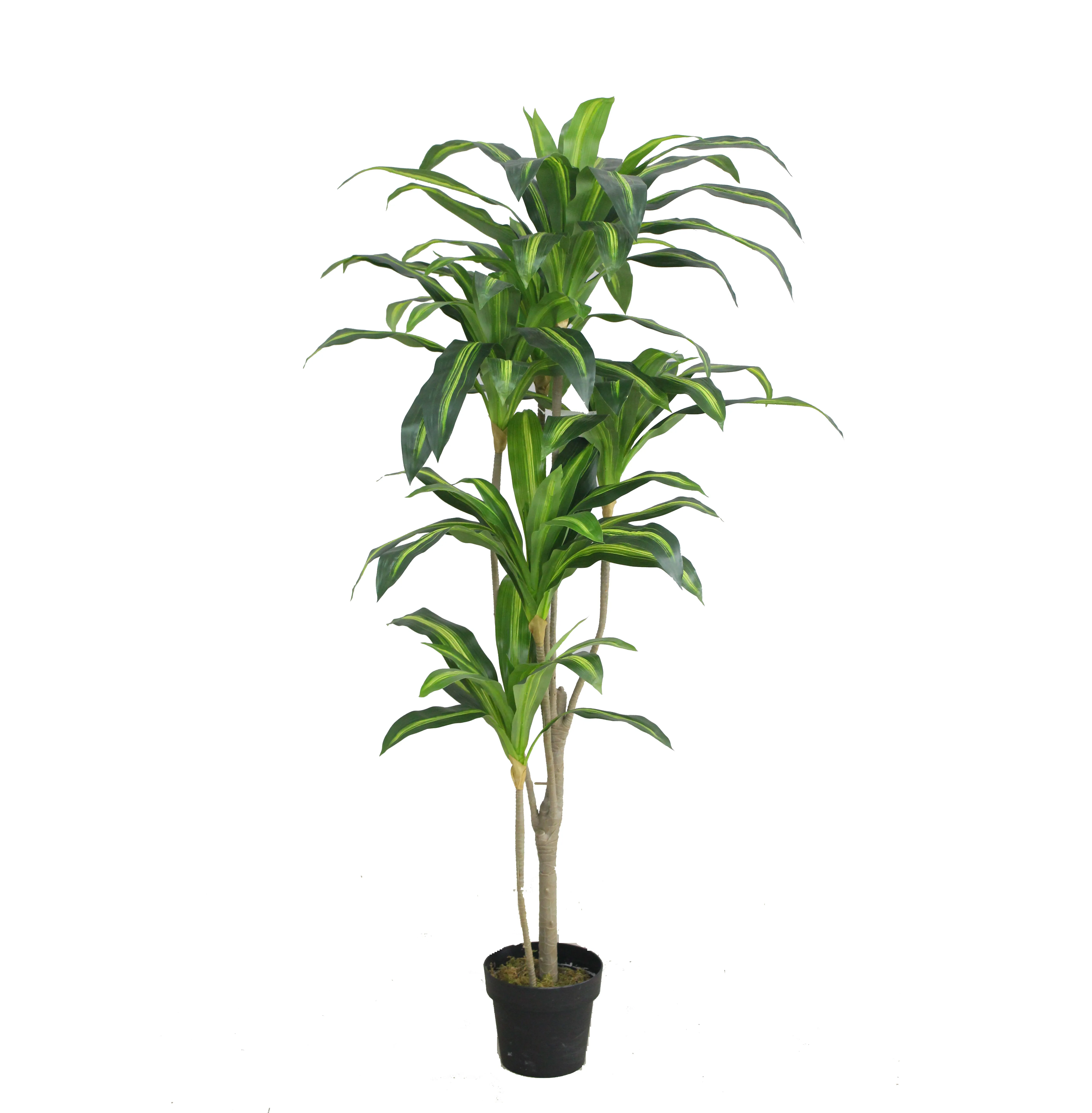 Offre Spéciale pas cher artificielle dracaena plantes bonsaï en plastique haute simulation arbre de plantes pour la décoration