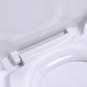 Morden Bofan personalizable <span class=keywords><strong>transparente</strong></span> <span class=keywords><strong>resina</strong></span> UF <span class=keywords><strong>resina</strong></span> Acero inoxidable Rectangular <span class=keywords><strong>asiento</strong></span> <span class=keywords><strong>de</strong></span> <span class=keywords><strong>inodoro</strong></span> baño Duroplast Urea <span class=keywords><strong>inodoro</strong></span> - Product Image 5