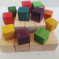 Blocs carrés en bois de bouleau écologiques, durables et de couleur naturelle pour les loisirs créatifs, les jeux, les outils artistiques et les événements scolaires