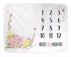 Chine marché papillon <span class=keywords><strong>pas</strong></span> <span class=keywords><strong>cher</strong></span> prix doux svg mensuels d'étape bébé couverture - Product Image 4