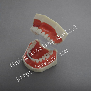 Sarung Dental Model Dp Artikulator Gingivae Disinfeksi - Product Image 2